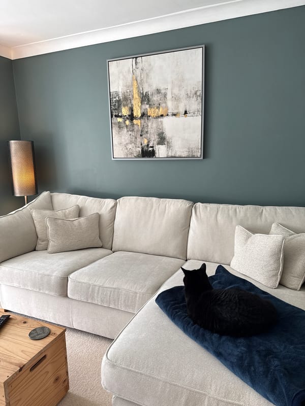 Cat rests on sofa blanket in East Suffolk home