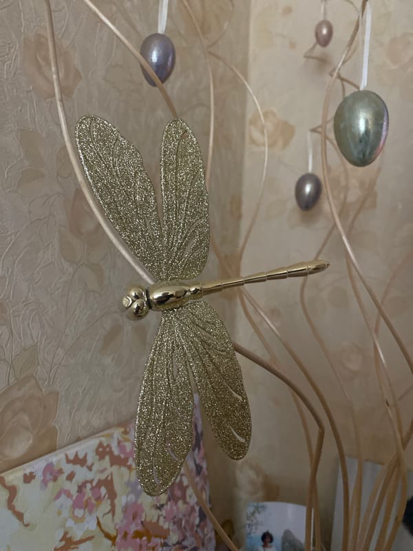 Golden dragonfly ornament photographed in Kryvyi Rih indoor setting