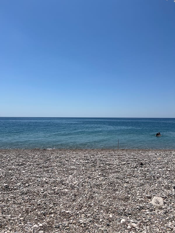 Lazy beach morning with a poodle in tow