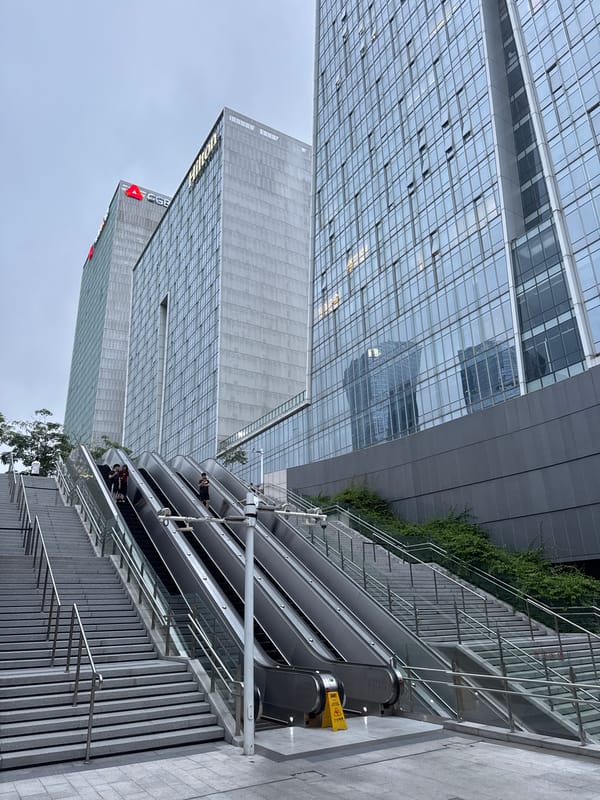 Dog walker strolls through Futian District's urban landscape