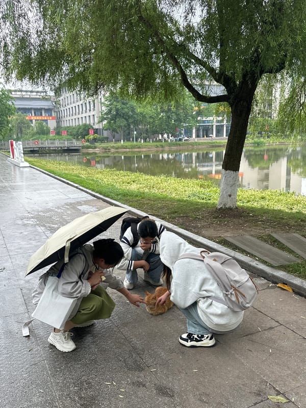 Morning life unfolds across Jiangjin's public spaces
