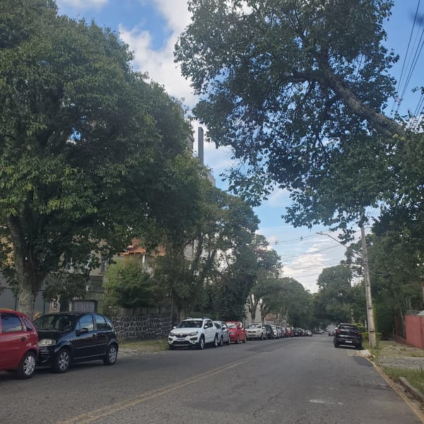 Tree-lined street with parked cars captured in Curitiba