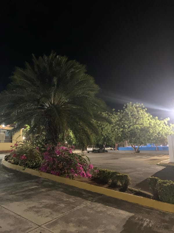 Nighttime street scenes documented in Santa Ana, Venezuela