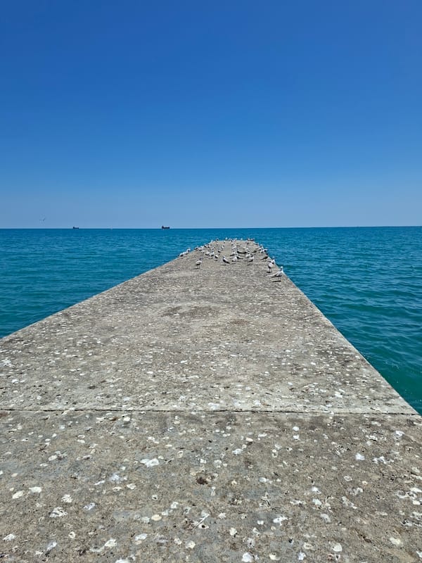 Bright morning at a turquoise coastal pier with seagulls and sea views.