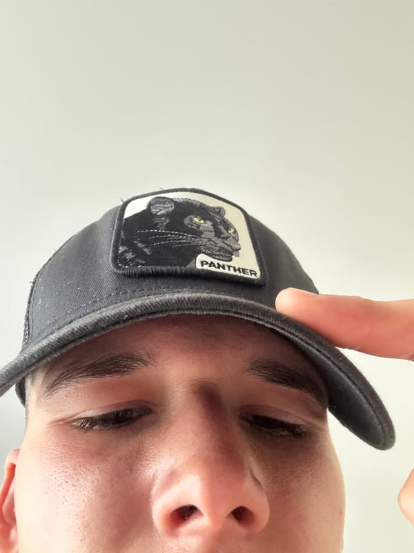 Person adjusts Panther baseball cap in Hisarya, Bulgaria