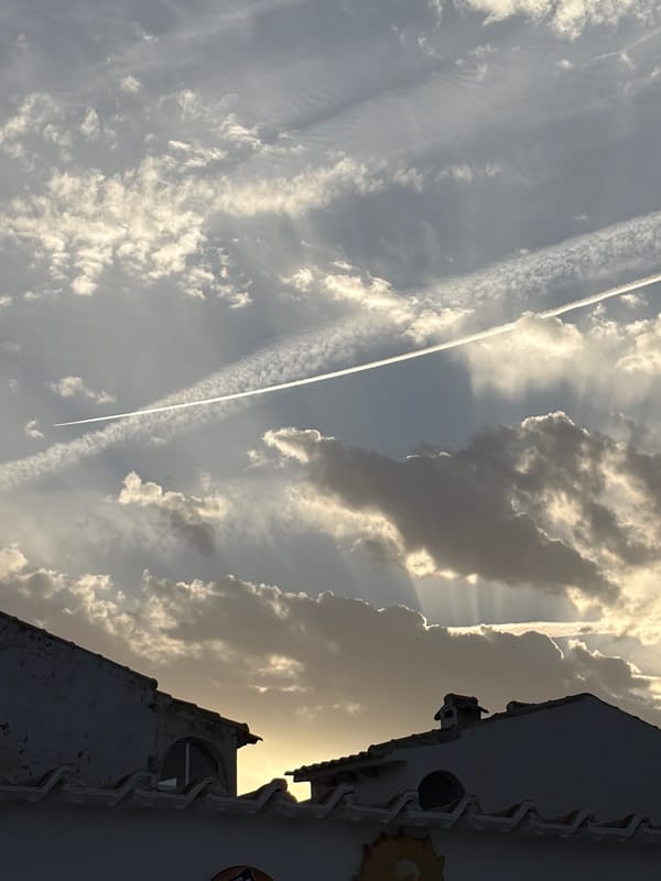 Torrevieja afternoon: big skies, neighborhood wildlife, and street-level color