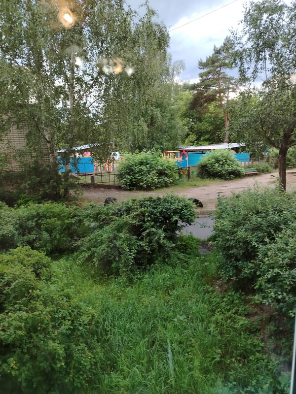 Afternoon in a residential neighborhood: playgrounds, plants, and city streets