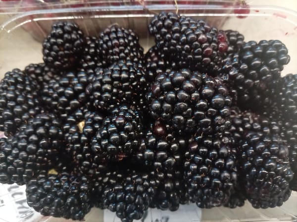 Summer market haul and neighborhood streets in Moscow