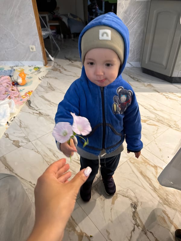 Casual evening at home in Andreyevo, flowers and food
