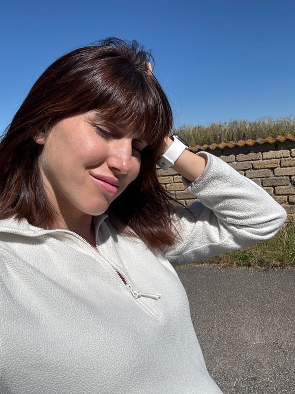 Dog walker strolls through Aprilia neighborhoods encountering local pets