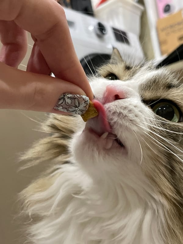 Two people observed together in Izhevsk, Russia