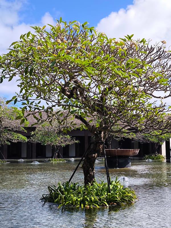 Inside a high-end Bali resort: lobbies, pools, and live gamelan