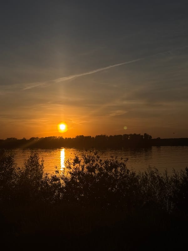 Sunset observed over water near wooded area May 21