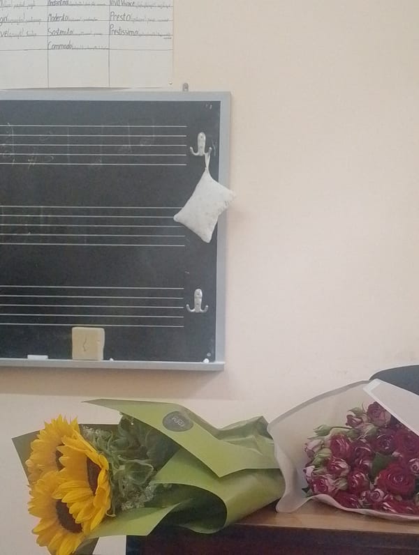 Music lesson captured in sunlit Armenian classroom