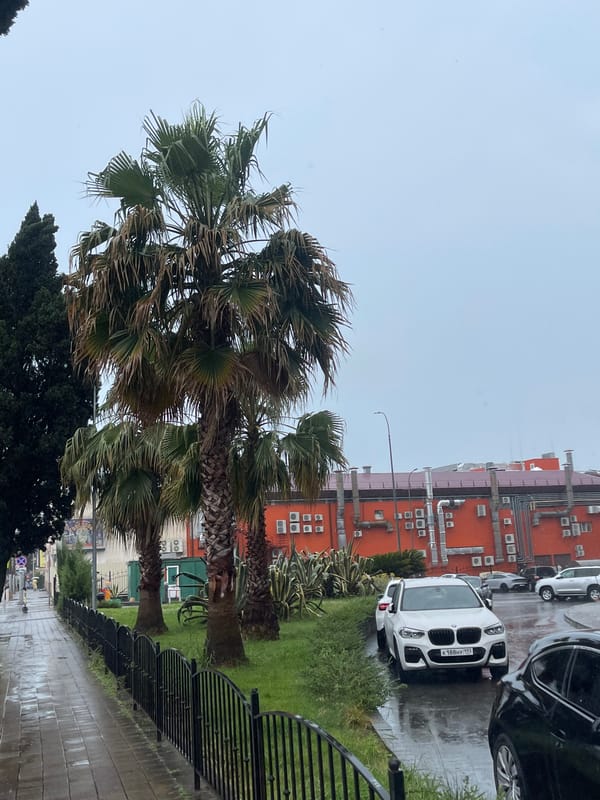 Rainy morning streets in Sochi on a grey June day