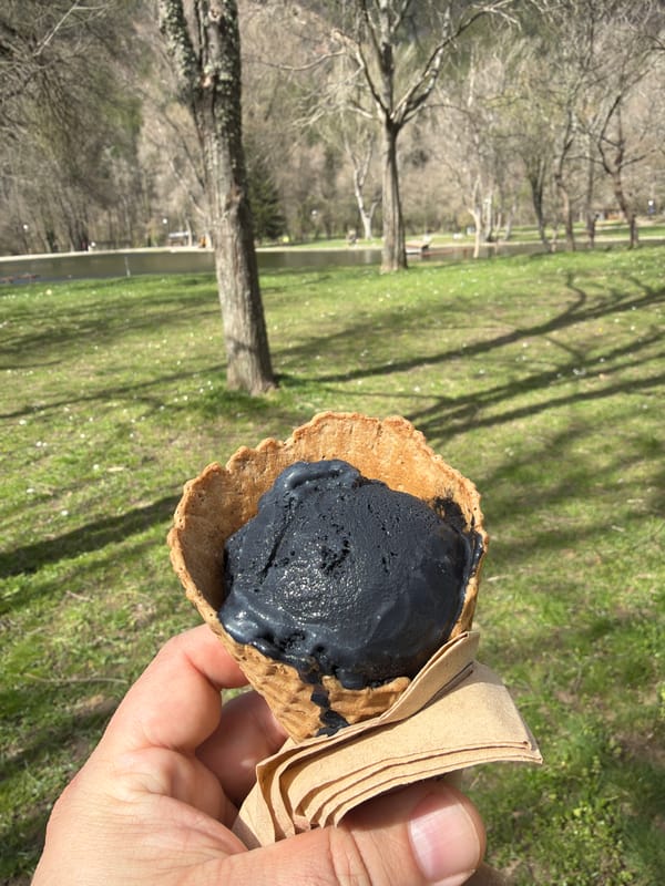 Black ice cream enjoyed in Blagoevgrad park