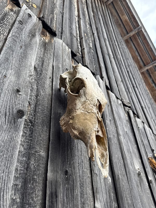 Rural exploration documented in Amaneevo village, Russia