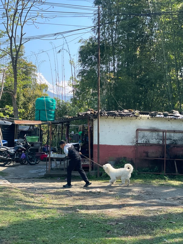 Morning life documented across multiple Pokhara locations in Nepal