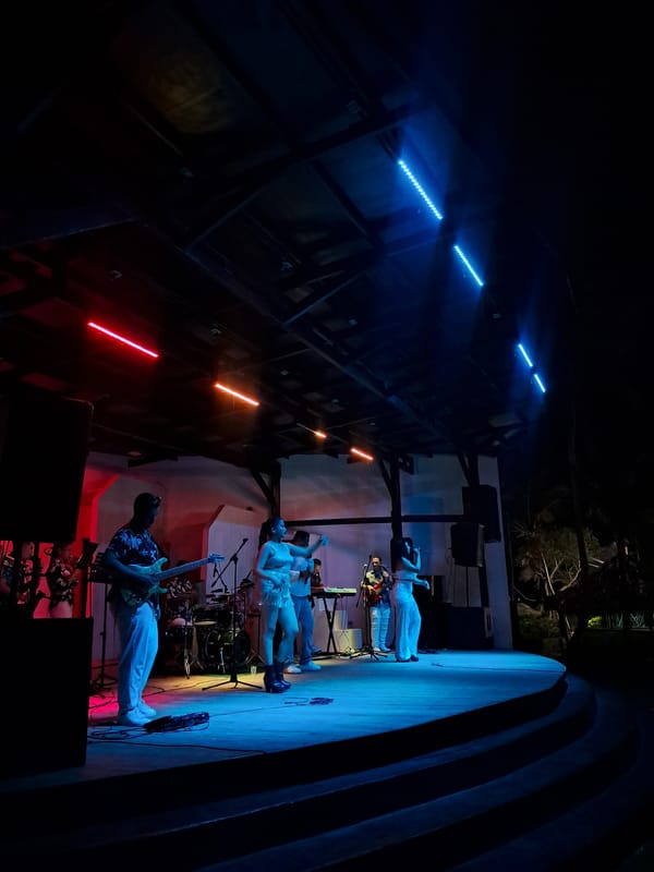 Night music performance draws costumed crowd in El Tirano