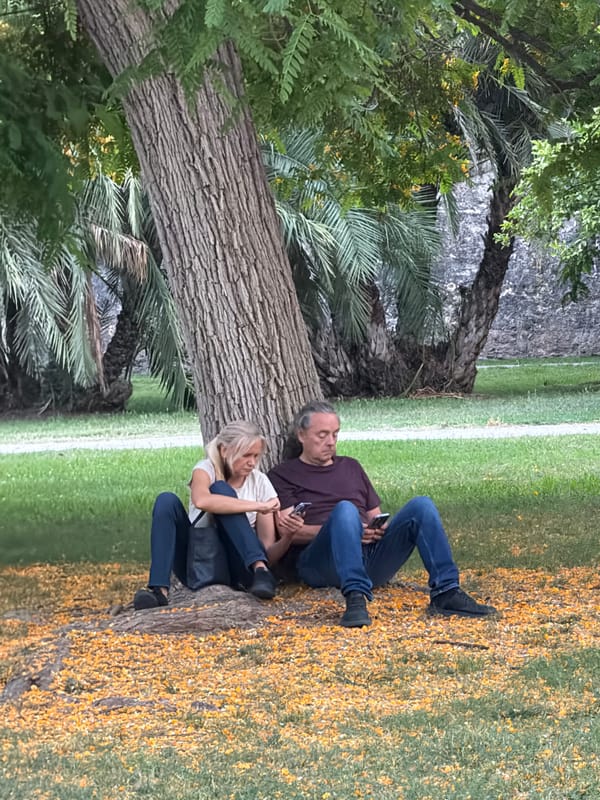 Alboraia park alive with evening runners, cyclists, and landmarks