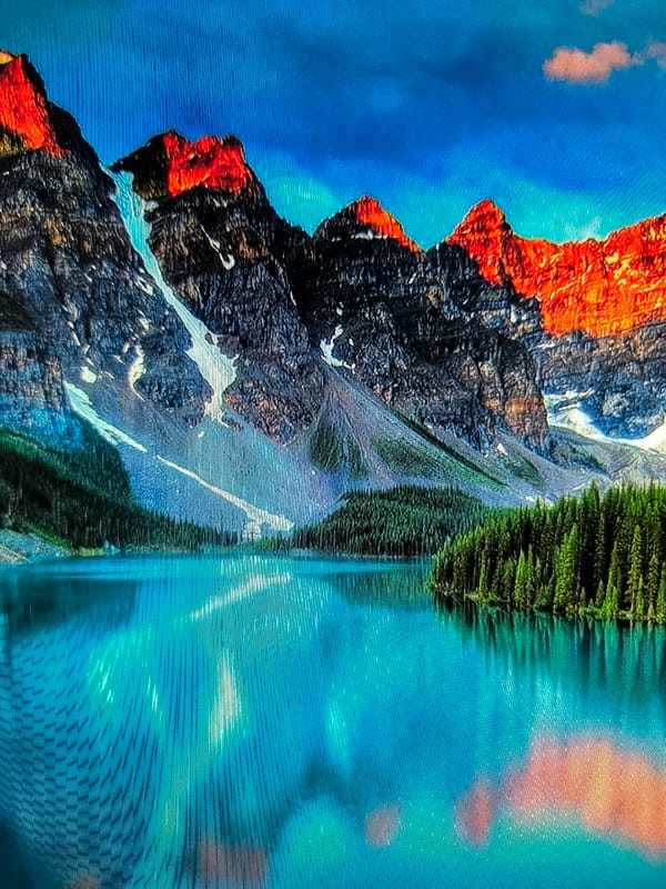 Nature photo mix: sunsets, flowers, forests, and a few animals