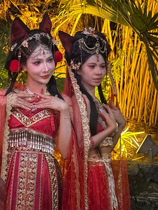 Traditional costume gathering documented in Chongqing's Yuzhong District