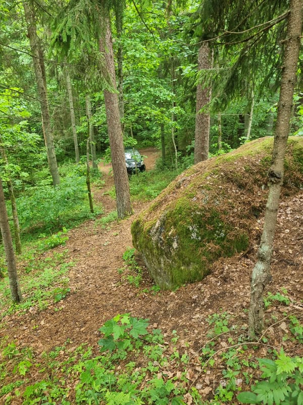 Forest path documented in Likučiai, Lithuania woodland area
