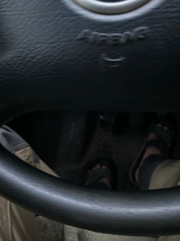 Driver documents rainy evening journey through wooded roads