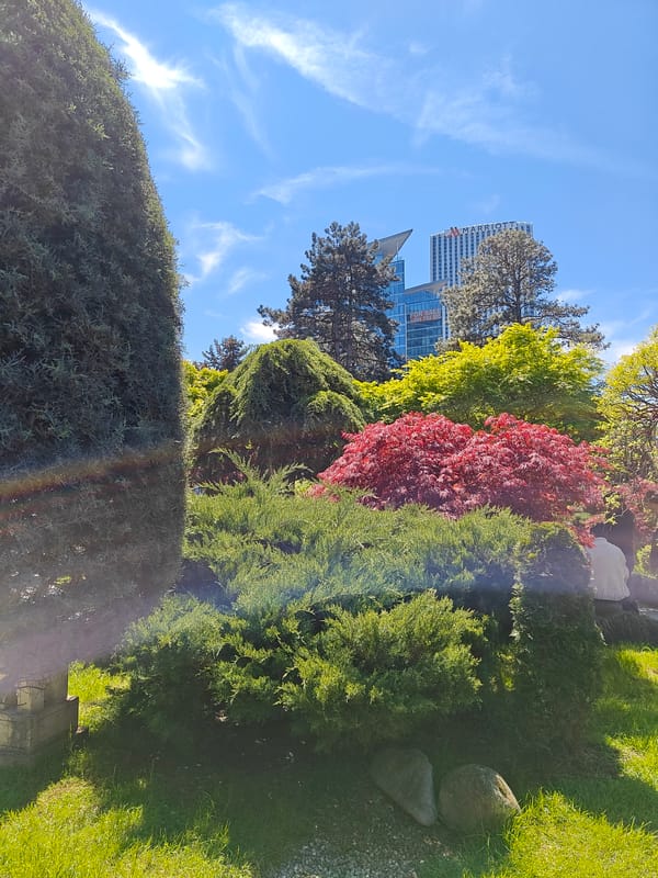 Morning documentation of Batumi parks captures spring scenes, recreation