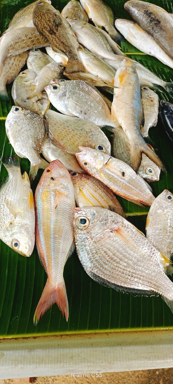 Fresh catch on banana leaves and a pickup game in Lhokseumawe