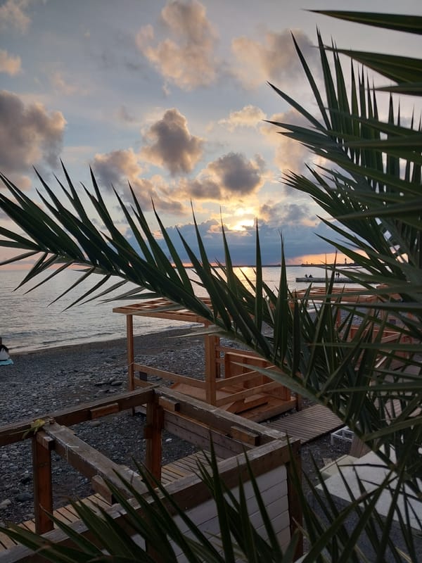 Beach scenes documented in Sochi featuring palm trees, Poseidon sculpture