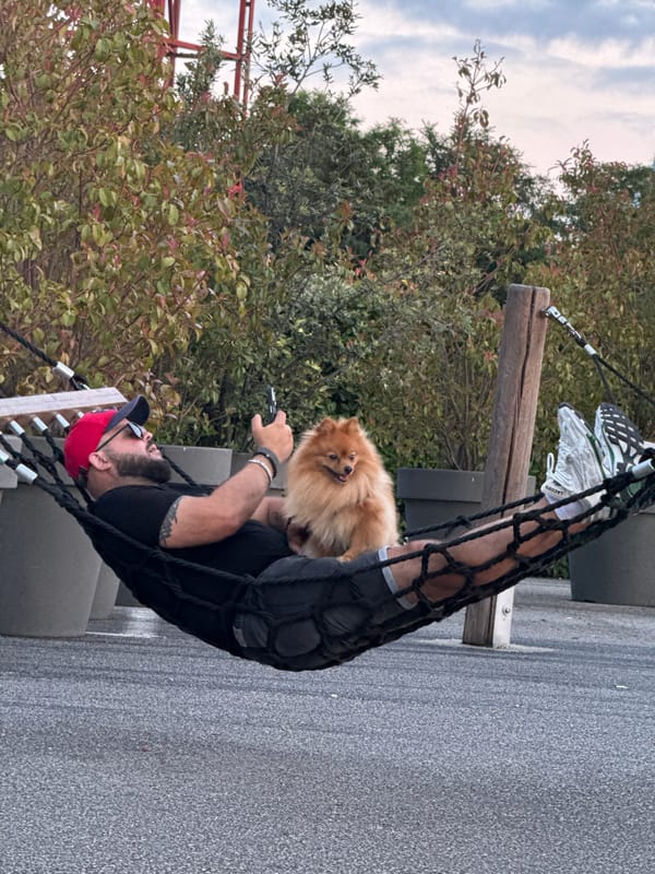Lazy evening in hammocks at a Sirius public park