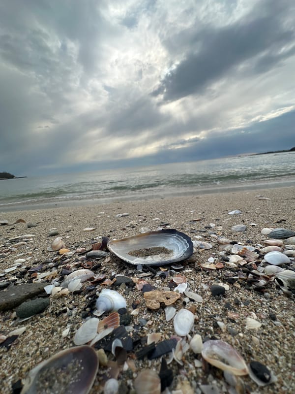 Morning beach documentation captures shells, pebbles in Kiten, Bulgaria