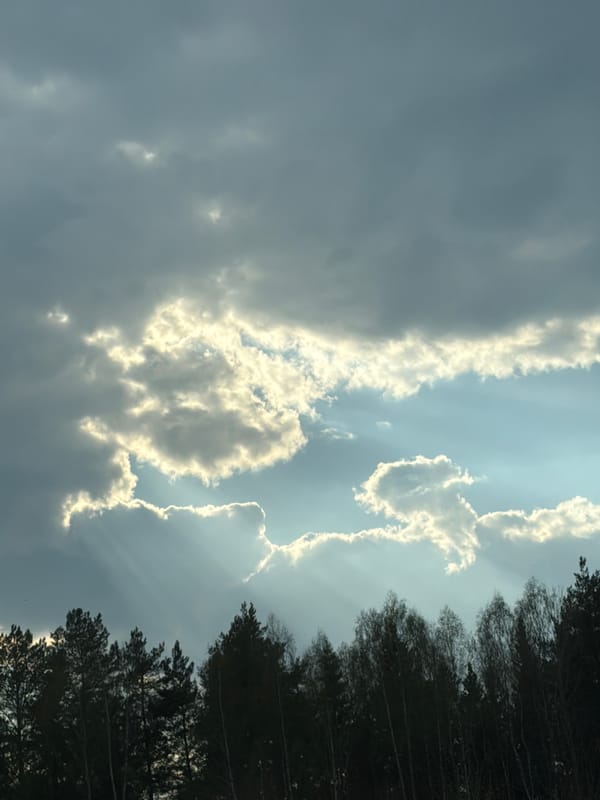 Dramatic sunlight breaks through clouds over Russian forest