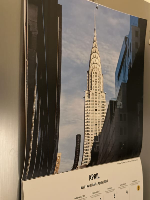 Cat observed playing in Kiel home