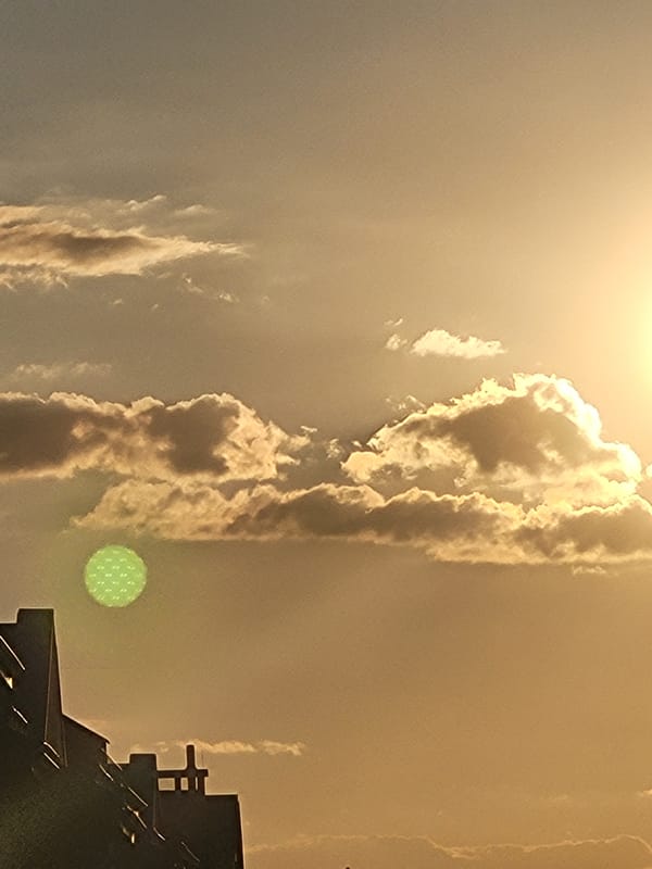 City sunset and a cat on the floor