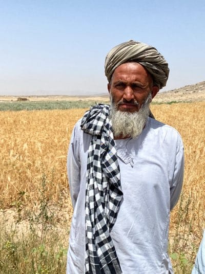 Afghan farmers and children observed in harvest fields