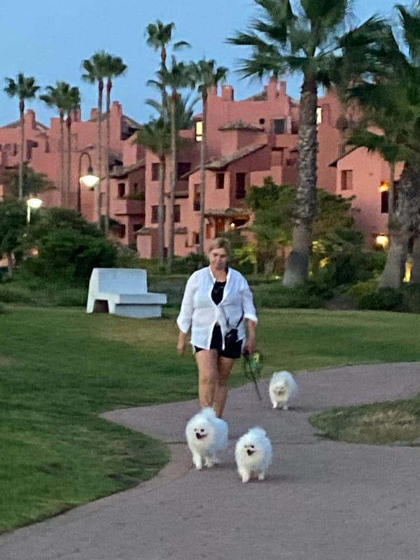 Evening walk along Estepona's beachfront promenade with dogs