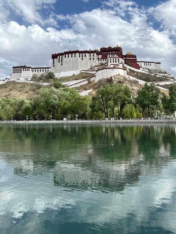 Potala Palace reflected in tranquil waters, ducks swimming peacefully