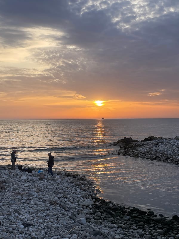 Sunset documented along Bar Montenegro waterfront with wildlife sightings