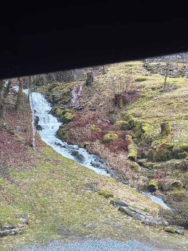 Waterfall flows down mossy slope in Bergen, Norway