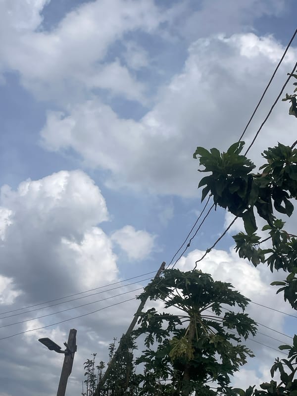 A quiet, overcast morning in Jos after rain
