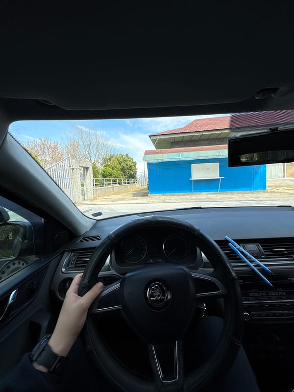 Driver captures interior view of Skoda car in Bulgaria