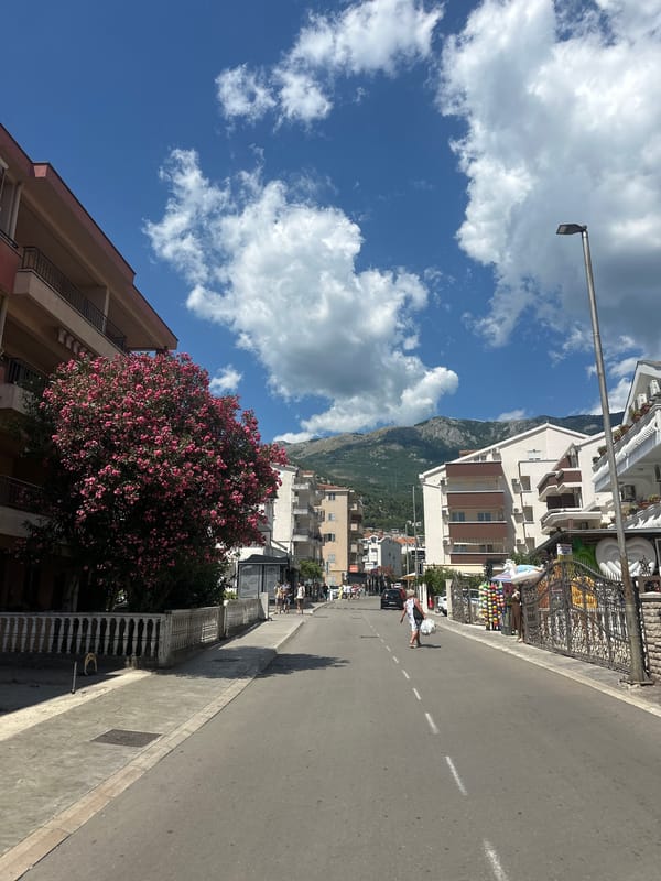 Street-level look at a sunny Budva neighborhood in summer