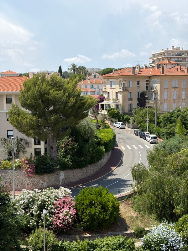 Witness documents midday scenes across Cannes residential hillsides