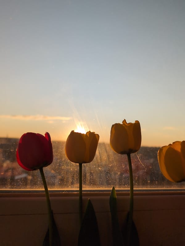 Spring afternoon moments captured across Izhevsk, Russia