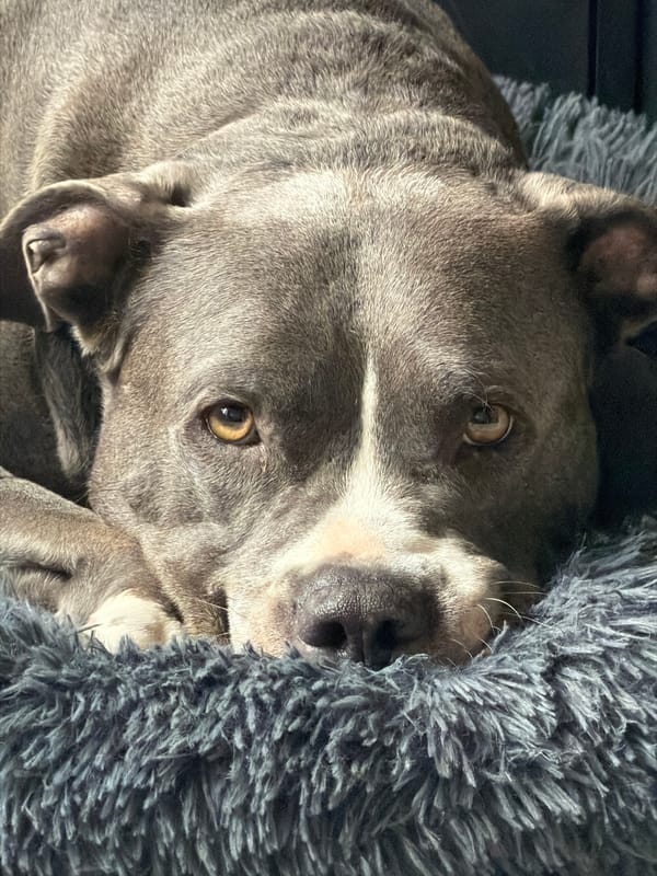 Sunday morning scenes captured in Esch-sur-Alzette, Luxembourg