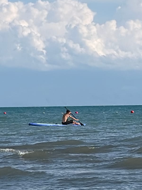 Paddleboarding, horses in the shallows, and beach activity on a sunny day