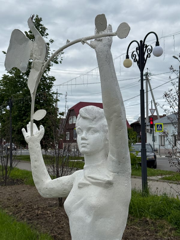 City walk captures wooden sculptures, ducks, historic buildings