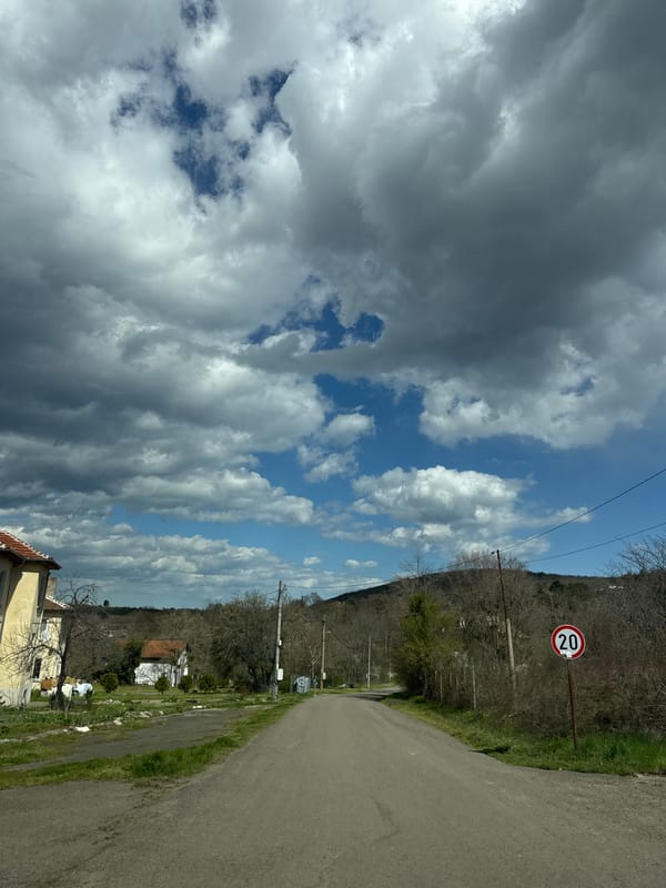 Speed limit sign spotted on rural road in Atiya